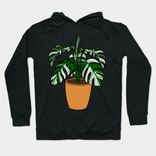 Monstera Albo Plant Illustration | Plant in a pot Hoodie